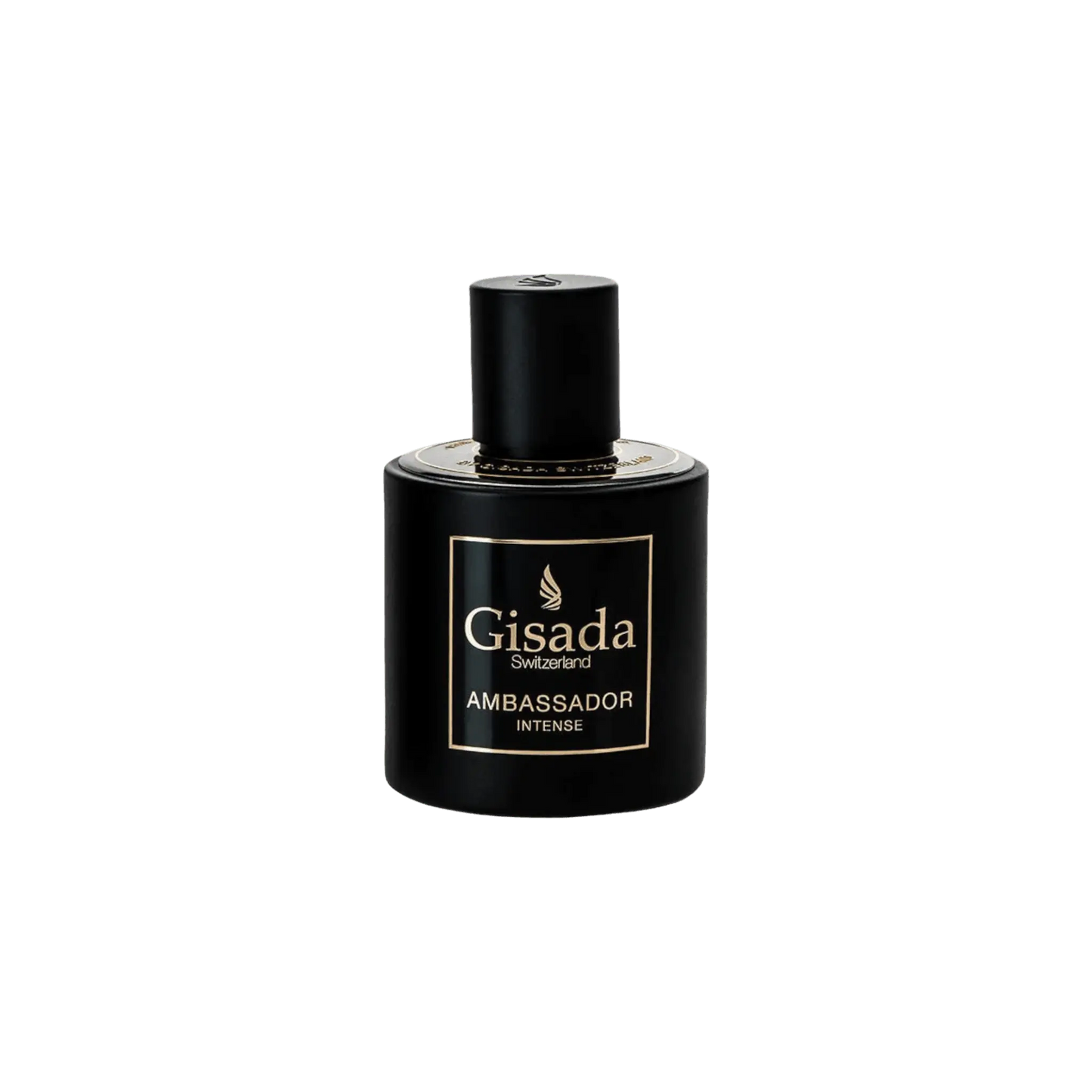 Ambassador Intense - Gisada.com