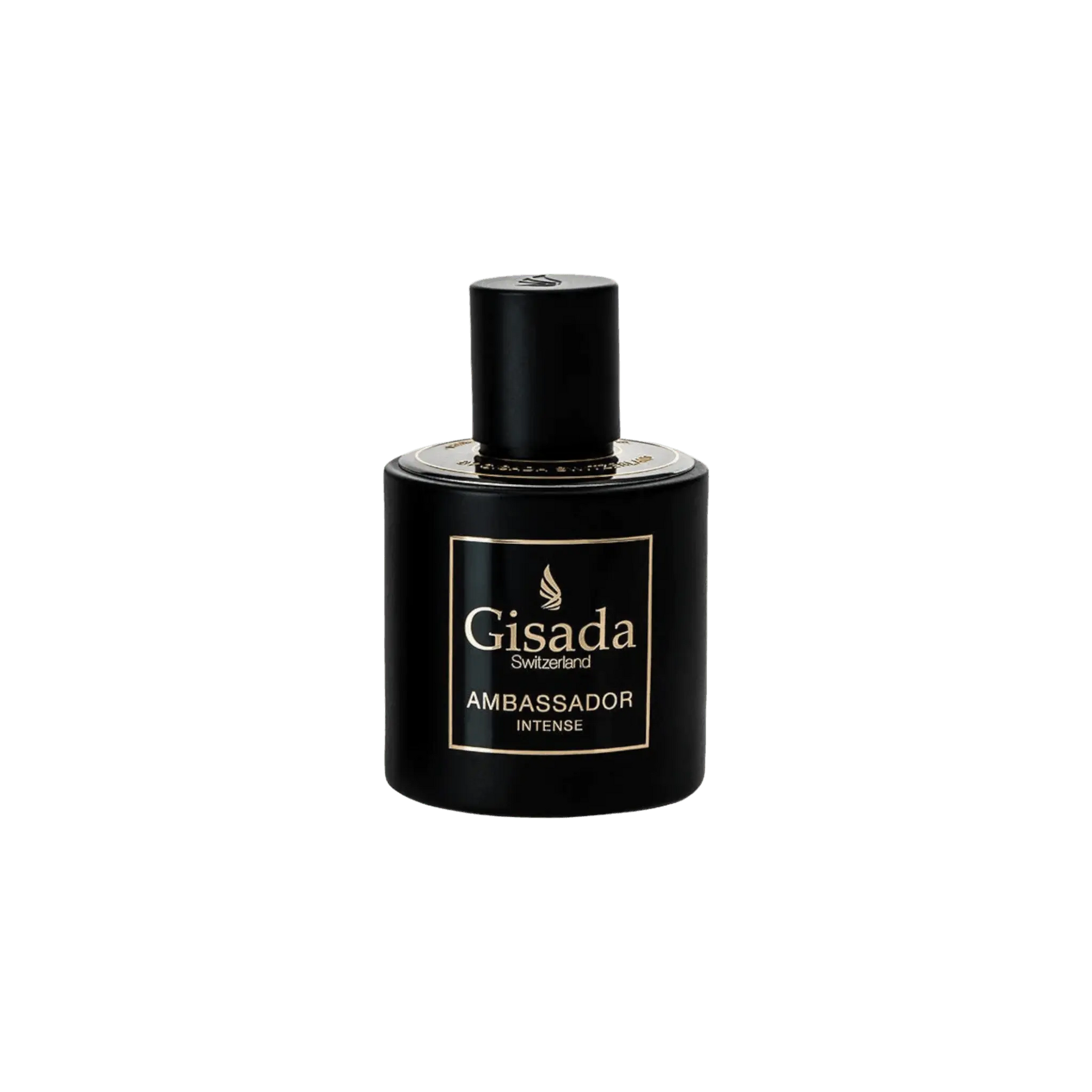 Ambassador Intense - Gisada.com