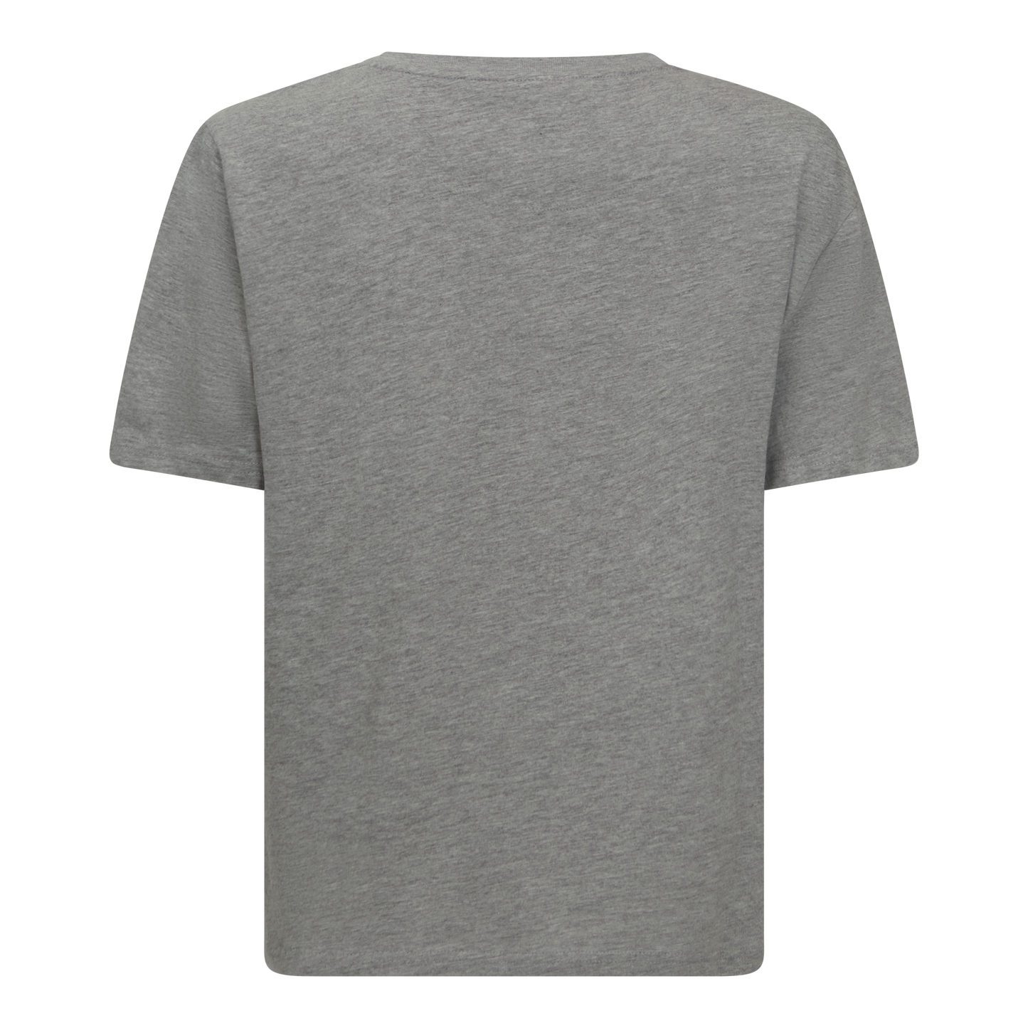 Back view of grey jersey cotton Gisada t-shirt