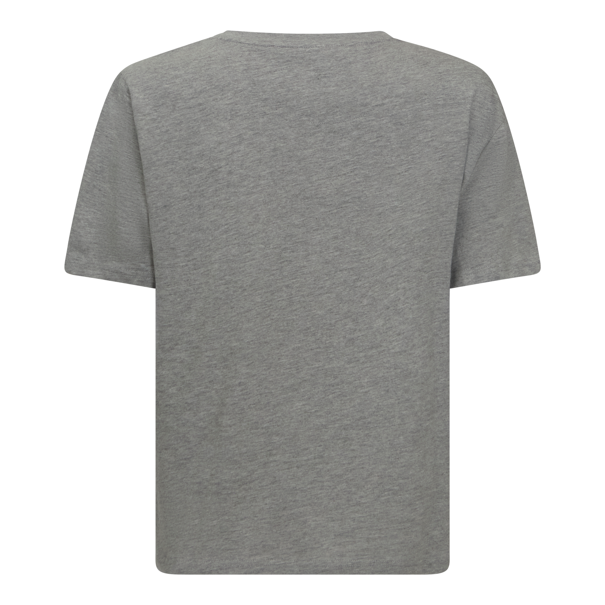 Back view of grey jersey cotton Gisada t-shirt