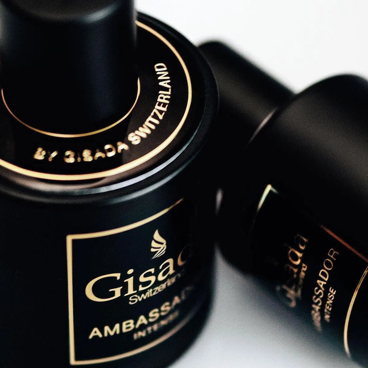 Ambassador Intense - Gisada.com