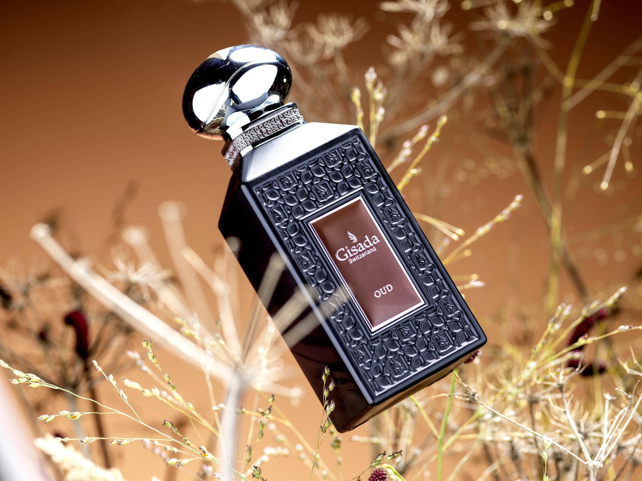 Gisada メンズ香水 Fragrance – Gisada.com