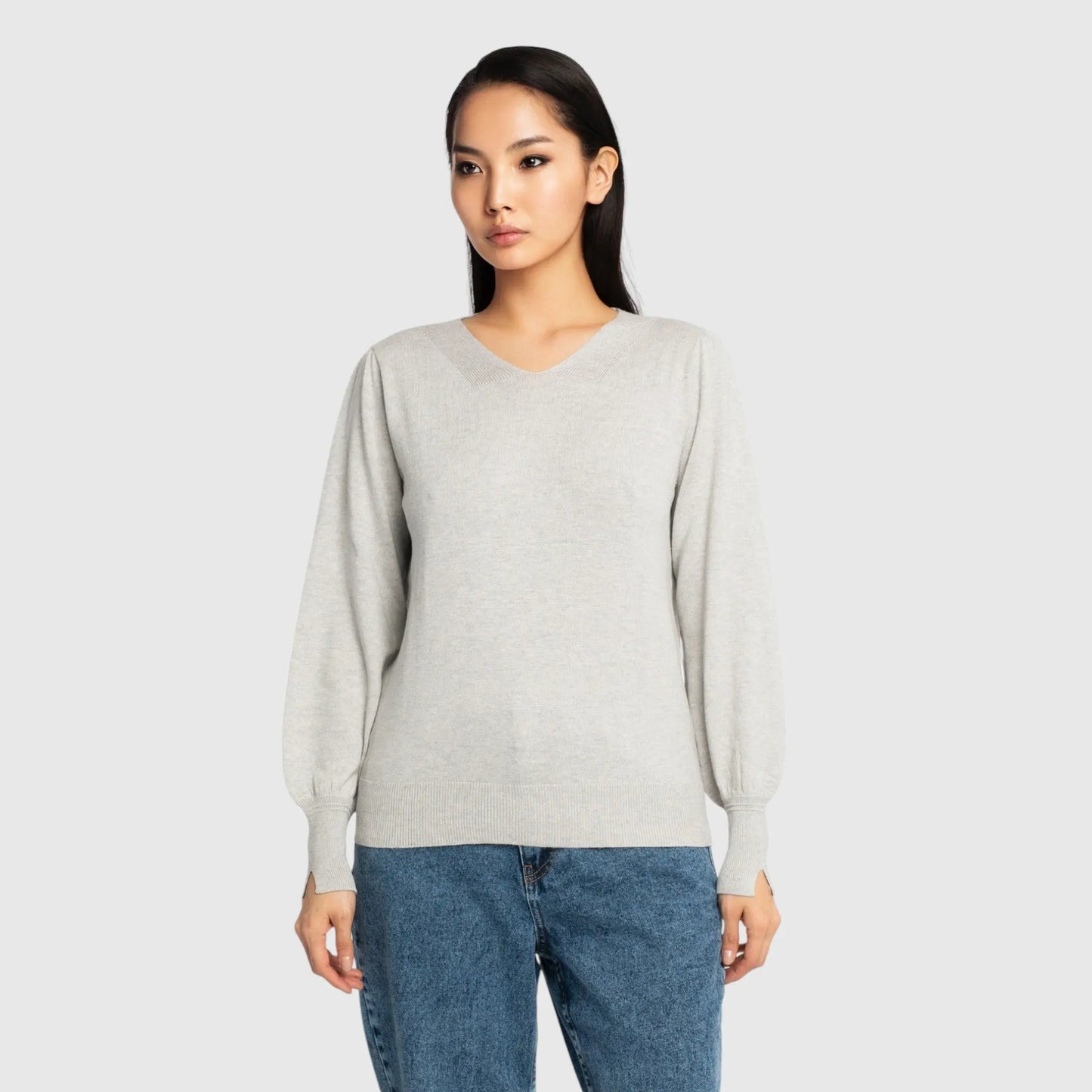 Regular Fit V-Neck Pullover - Gisada.com