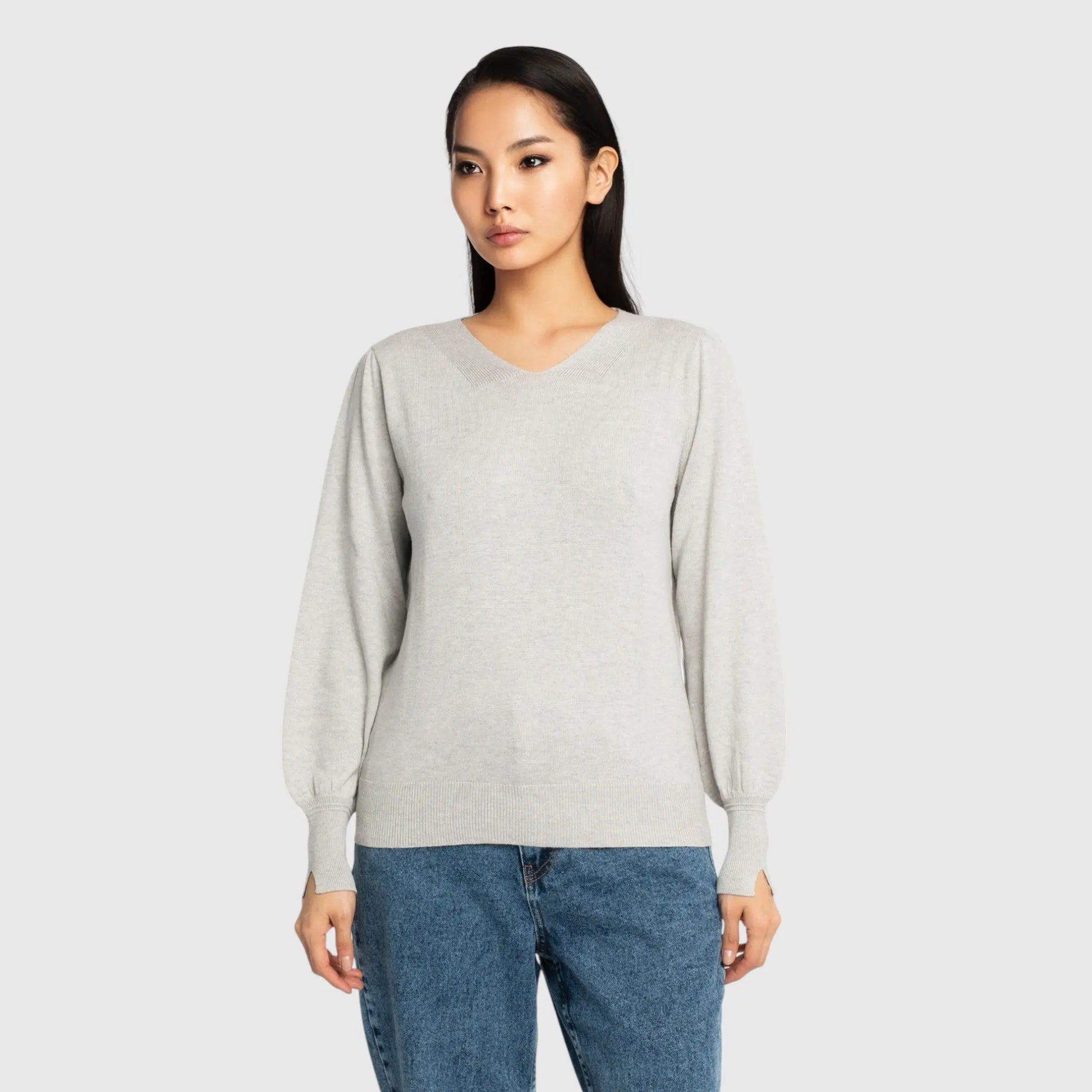 Regular Fit V-Neck Pullover - Gisada.com