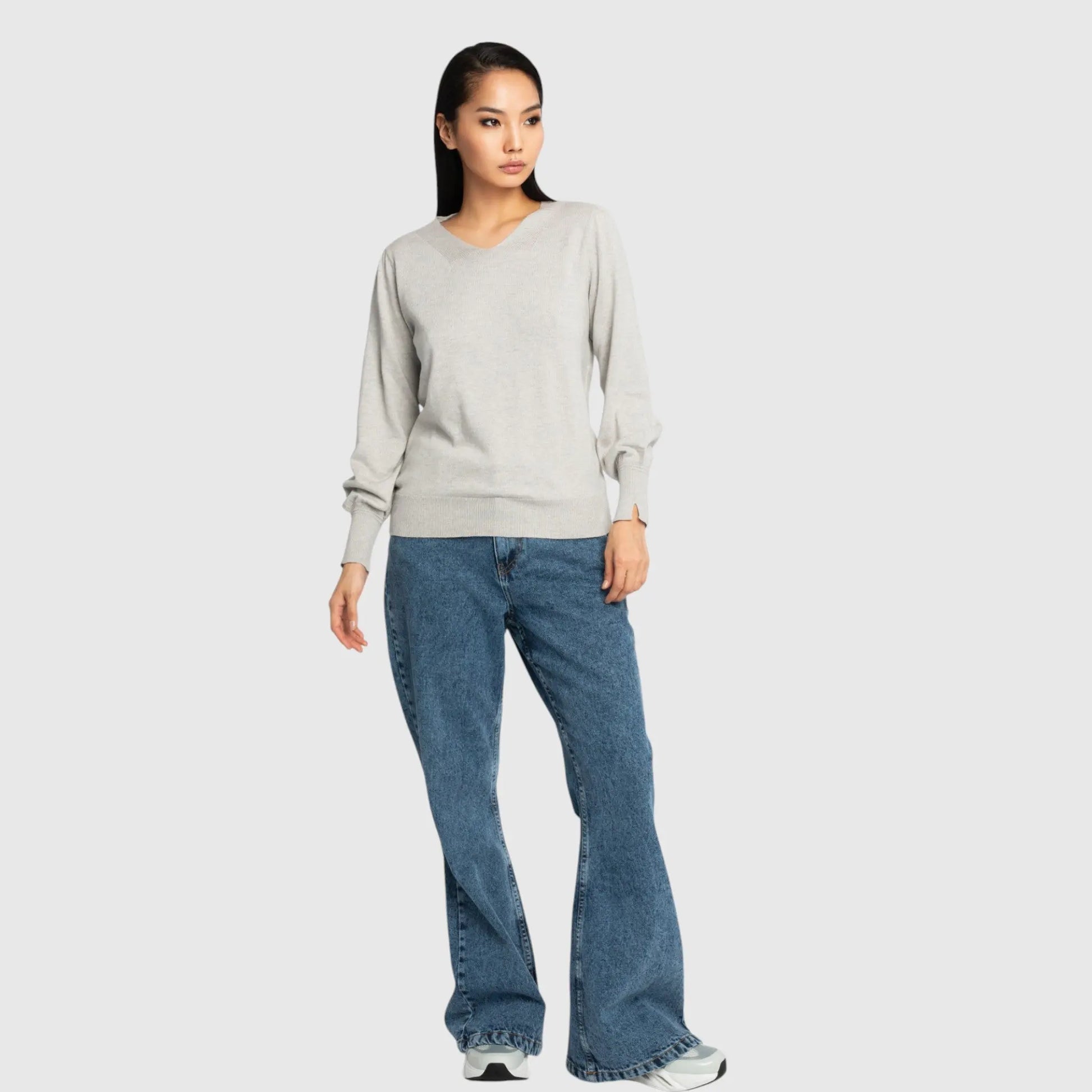 Regular Fit V-Neck Pullover - Gisada.com