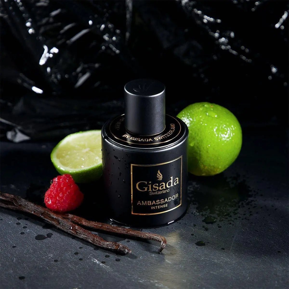 Ambassador Intense - Gisada.com