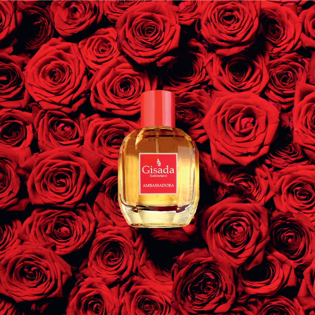 Ambassadora Gisada Perfume