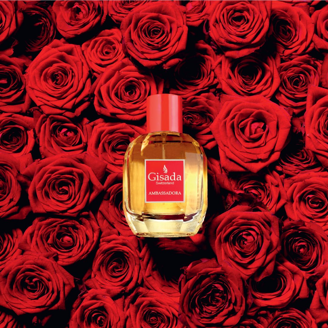 Ambassadora - Gisada.com