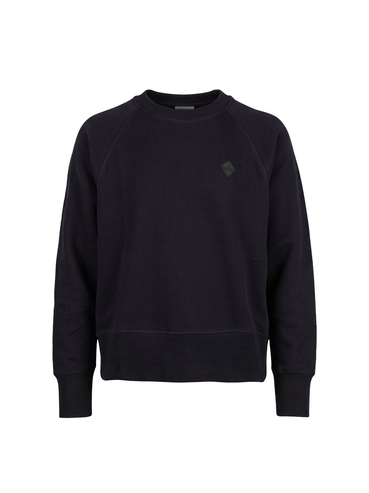 Fine Cotton Jersey Sweatshirt With Embroidery - Gisada.com