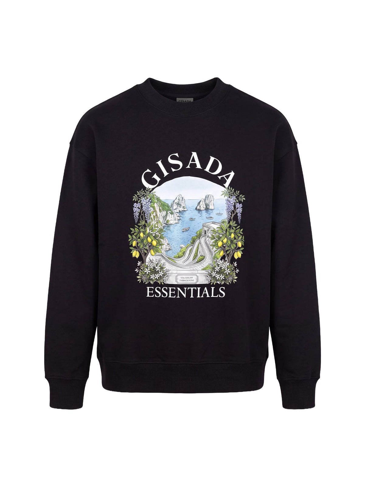 Fine Cotton Jersey Sweatshirt With Print - Gisada.com