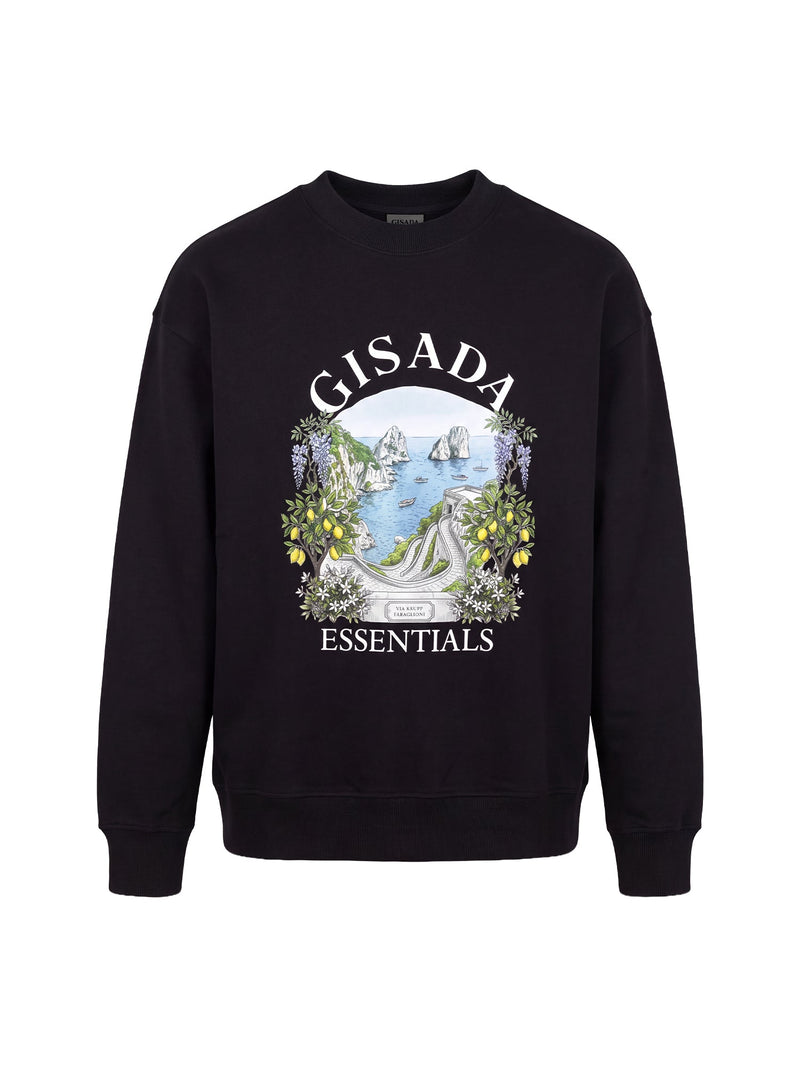 Fine Cotton Jersey Sweatshirt With Print - Gisada.com