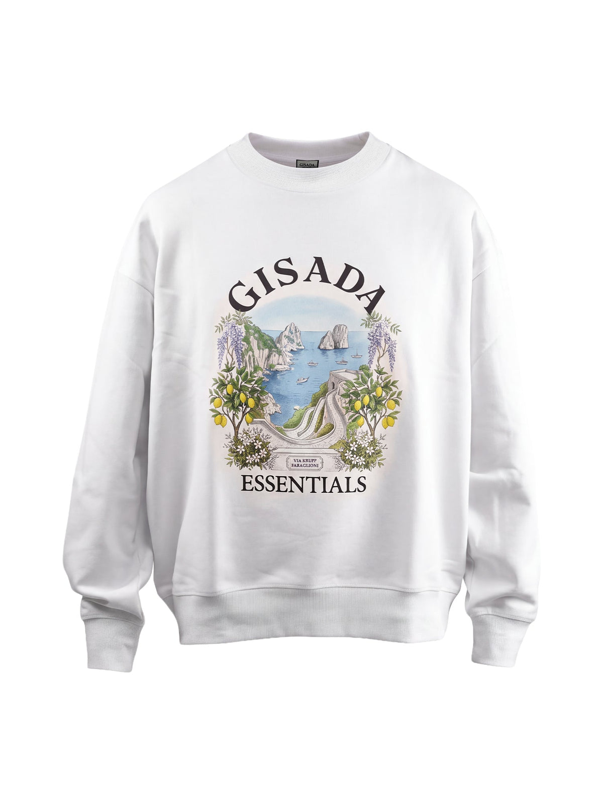 Fine Cotton Jersey Sweatshirt With Print - Gisada.com