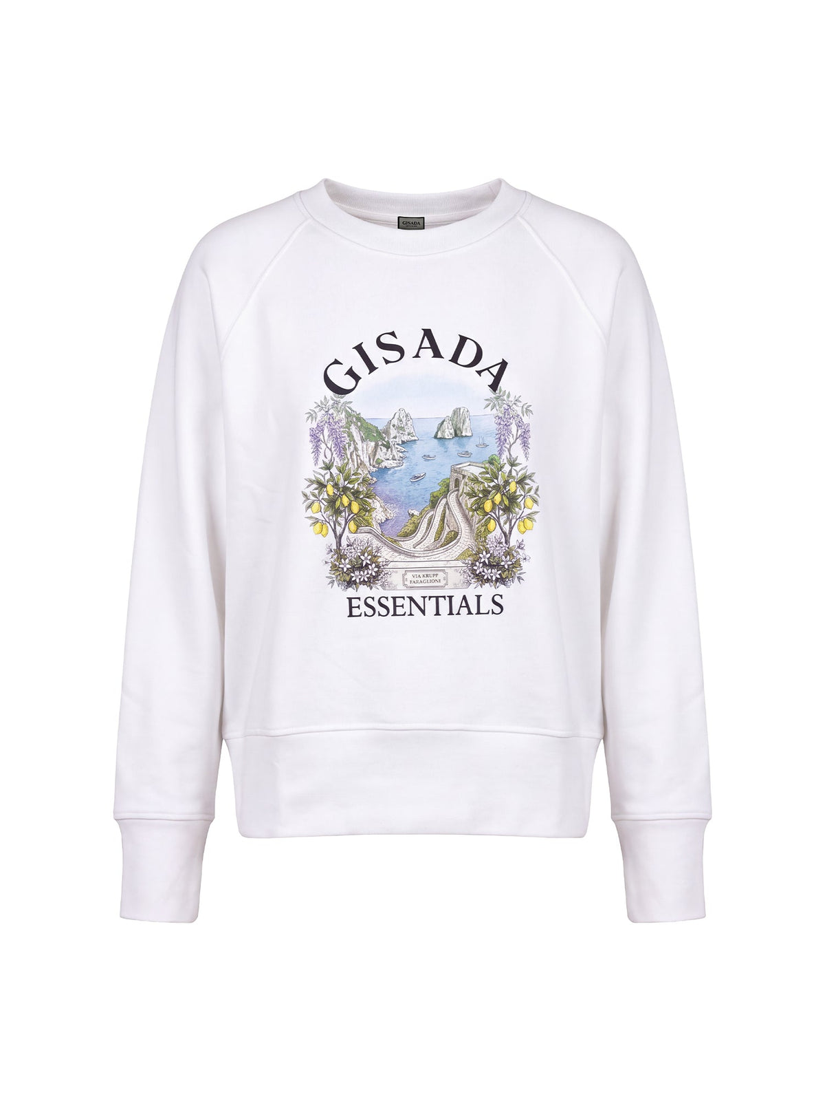 Fine Cotton Jersey Sweatshirt With Print - Gisada.com