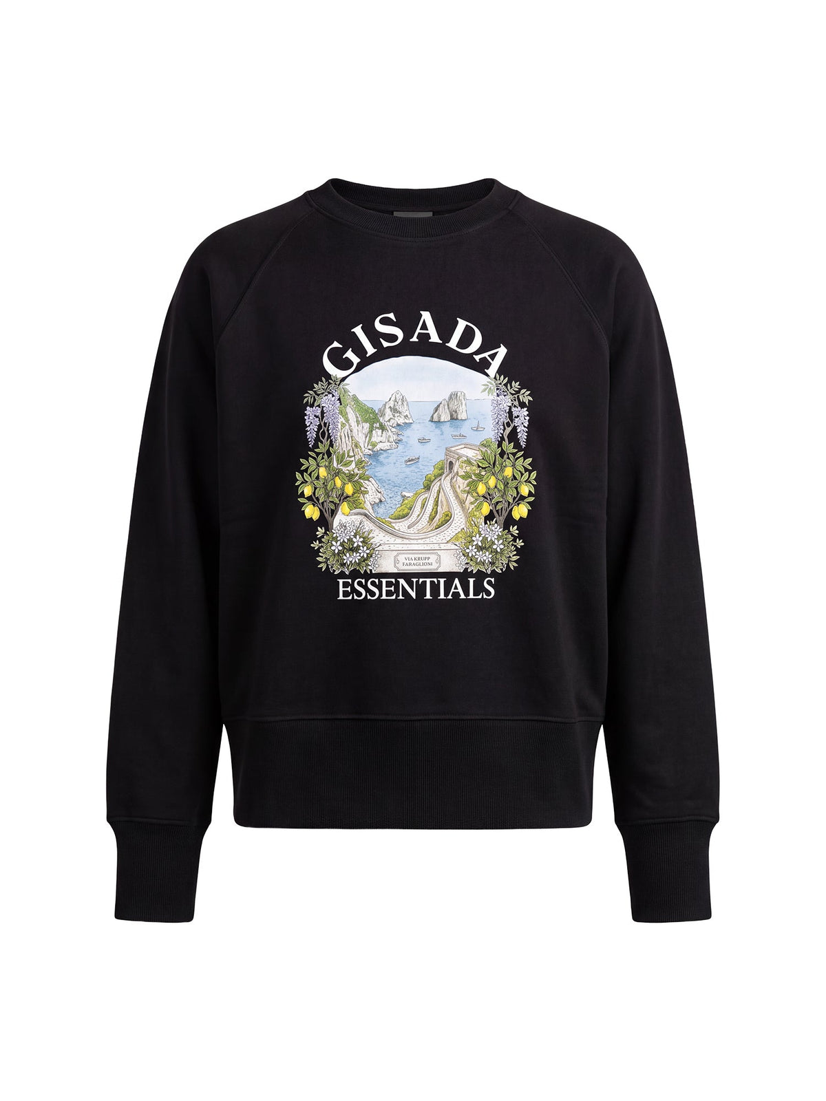 Fine Cotton Jersey Sweatshirt With Print - Gisada.com