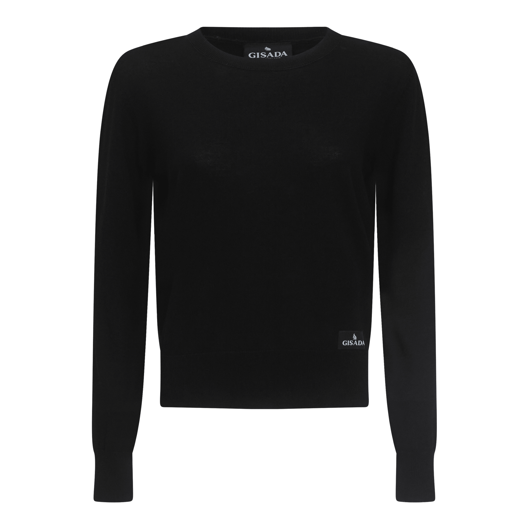 Regular Fit Round Neck Pullover - Gisada.com
