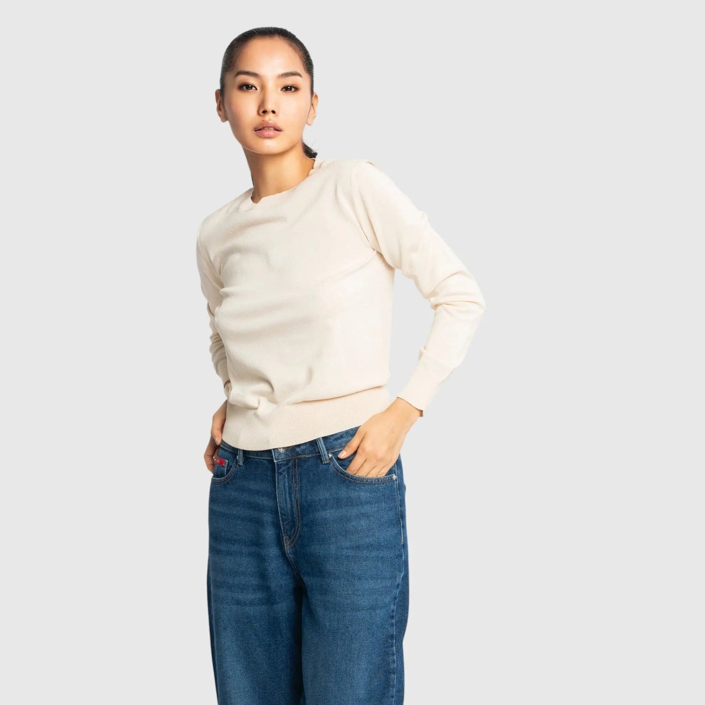 Regular Fit Round Neck Pullover - Gisada.com