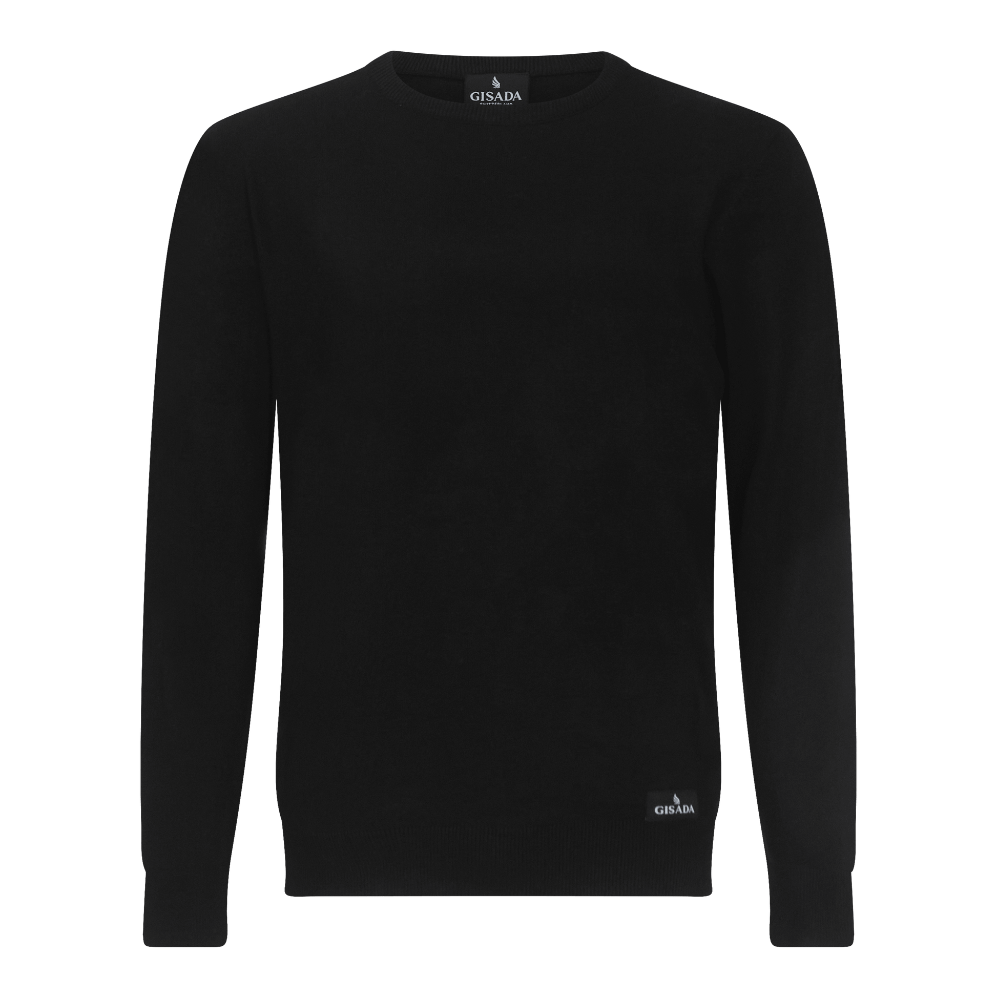 Regular Fit Round Neck Pullover - Gisada.com