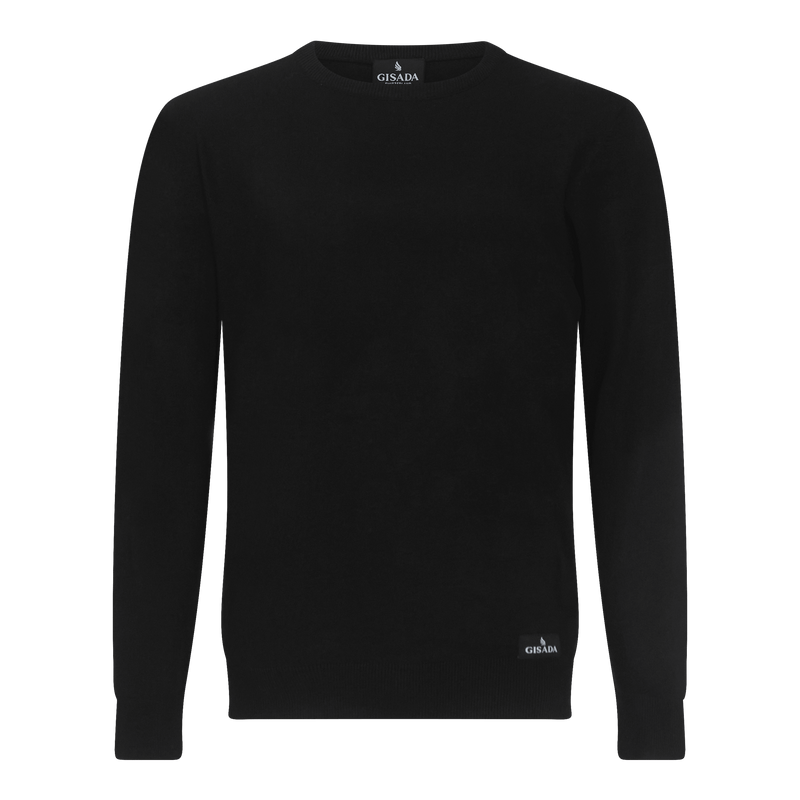 Regular Fit Round Neck Pullover - Gisada.com