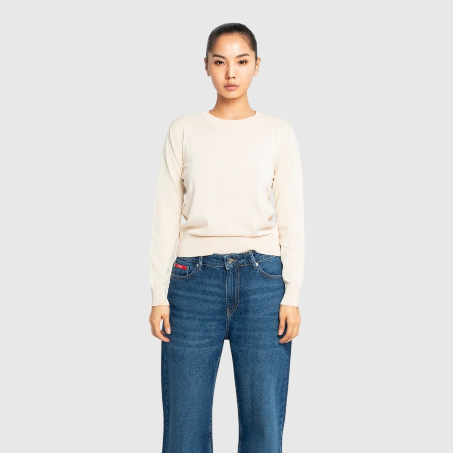 Regular Fit Round Neck Pullover - Gisada.com