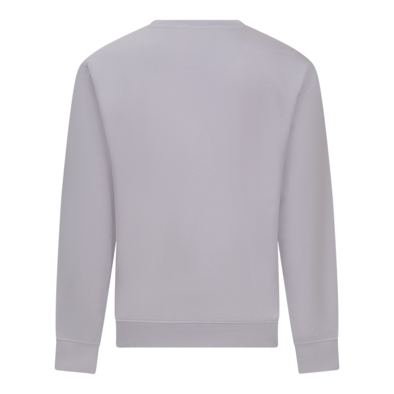 Regular Fit Sweatshirt in Midweight Cotton with Silicon Print