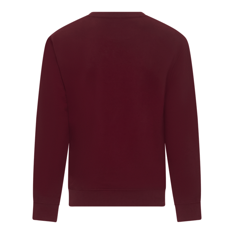Regular Fit Sweatshirt in Midweight Cotton with Silicon Print