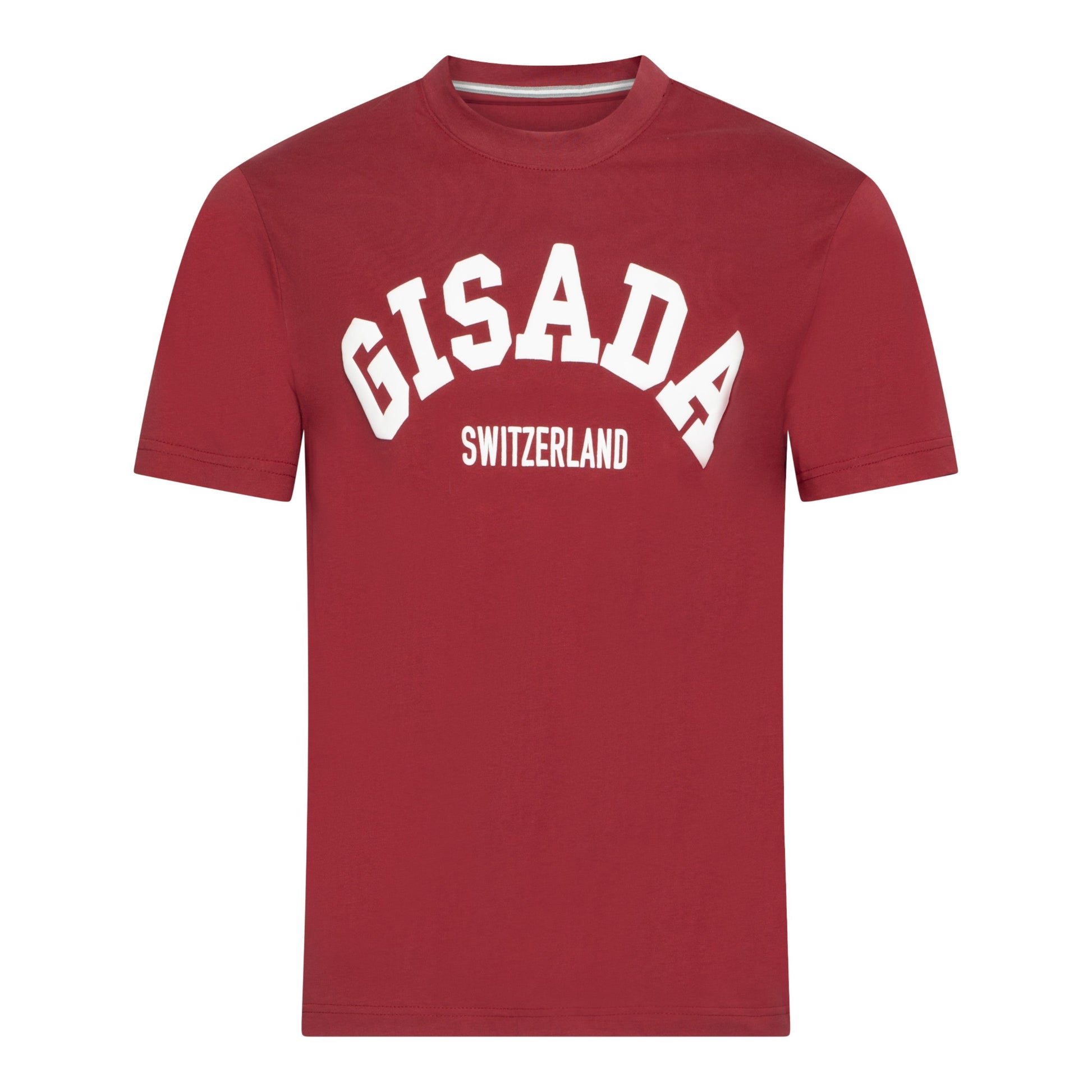 Regular Fit T-Shirt in Jersey Cotton with College Puff Print - Gisada.com